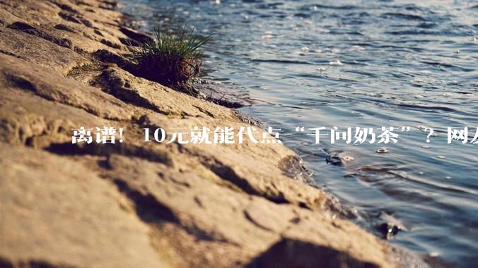 离谱！10元就能代点“千问奶茶”？网友吵翻：到底谁薅谁_活动_连小雷_平台